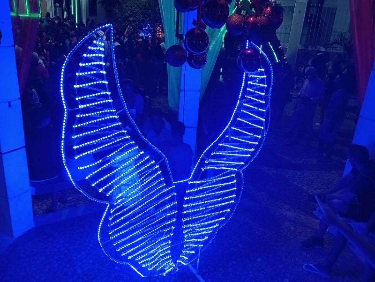 Abertura do Natal Novo tempo aconteceu nesta quarta-feira (11)  em Caetité — imagem 11